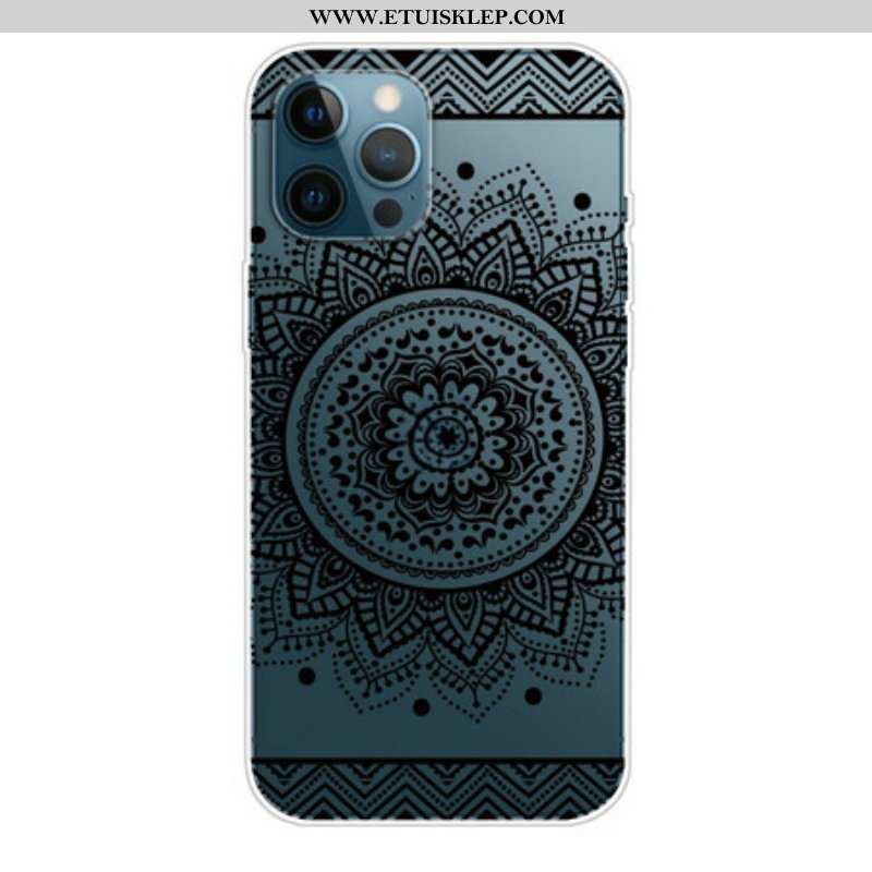 Etui do iPhone 13 Pro Max Piękna Mandala